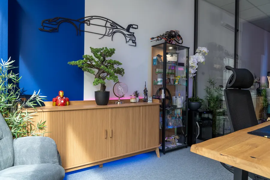Le coin salon, mur bleu et vitrine